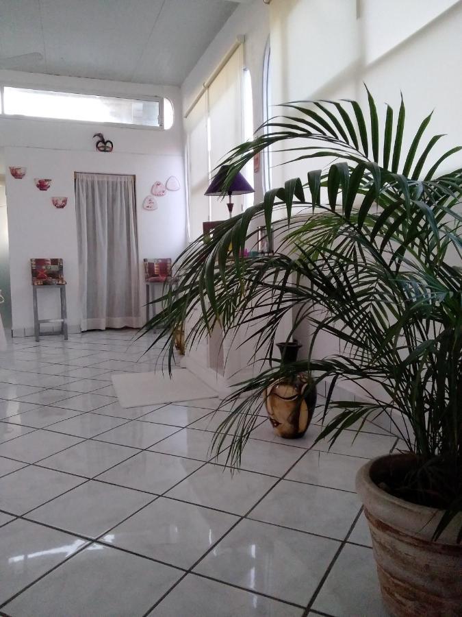 Boutique Basic Hotel Puerto Vallarta Ngoại thất bức ảnh