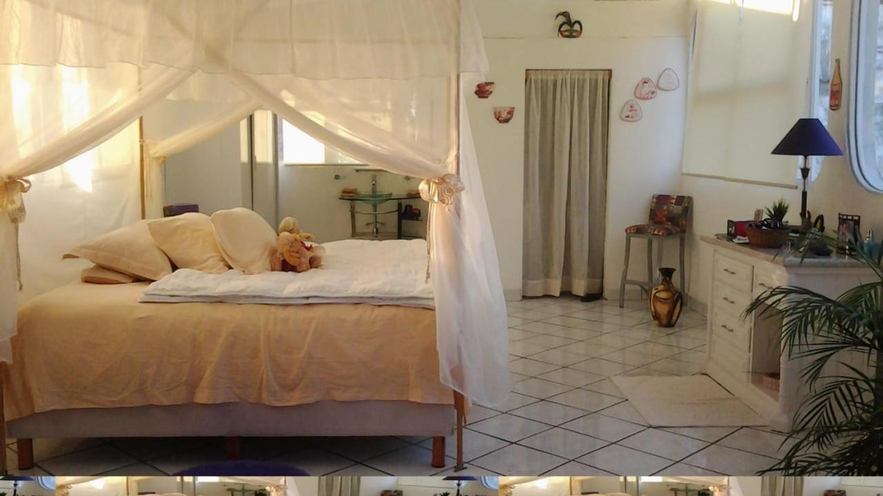 Boutique Basic Hotel Puerto Vallarta Ngoại thất bức ảnh